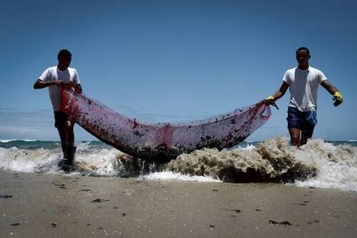 La catastrophe écologique qui touche les côtes brésiliennes