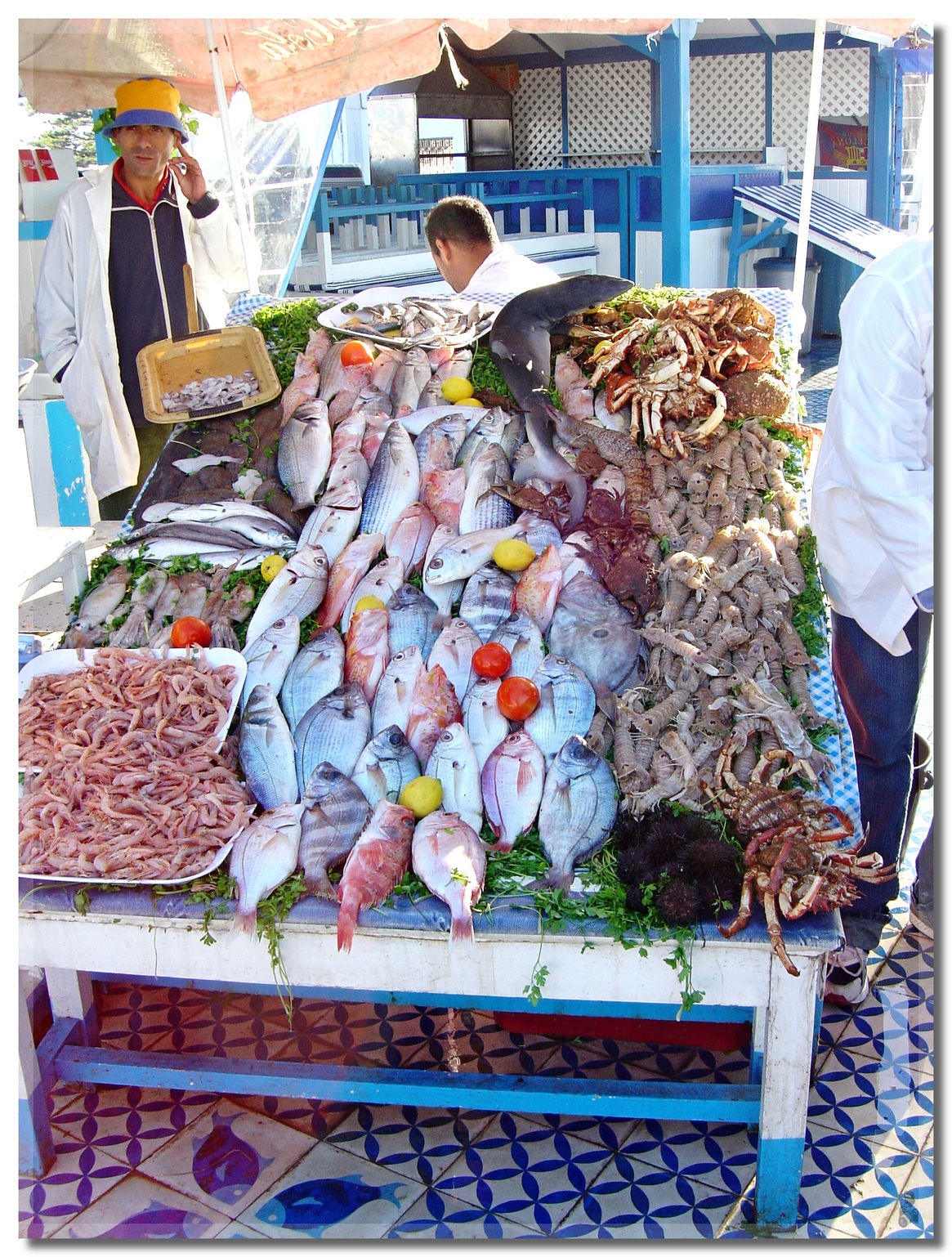 UN  PETIT  TOUR  A  ESSAOUIRA 