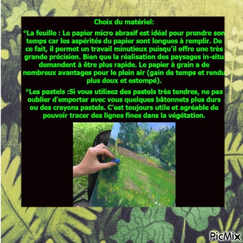 Dessin et peinture -vidéo 3774 : Comment peindre une prairie fleurie in-situ ? - pastel sec.
