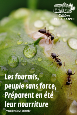 Proverbes 30 - Lecture et Prière