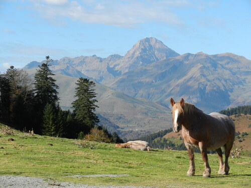 Tour en Bigorre