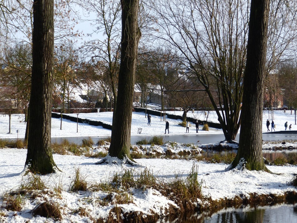Amiens sous la neige (2)  