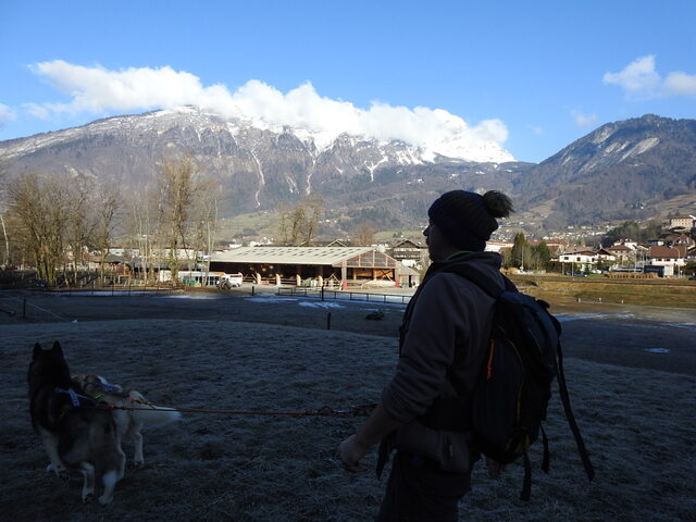 3 loups en Savoie sur Ugine