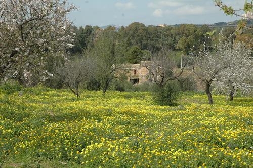 SICILE février 2013