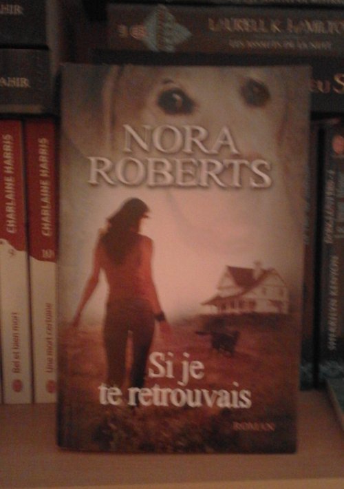 Roberts Nora - Si je te retrouvais