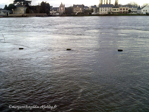 Saumur - Inondation - Inundation