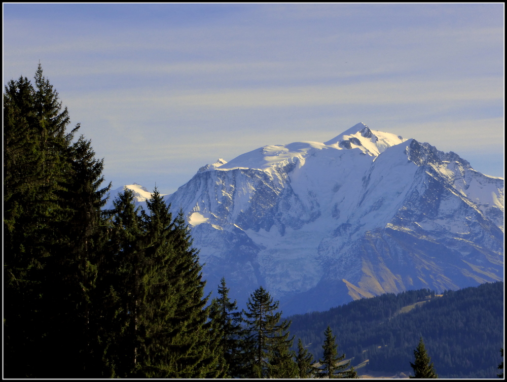 Sur les hauteurs de Combloux...suite !