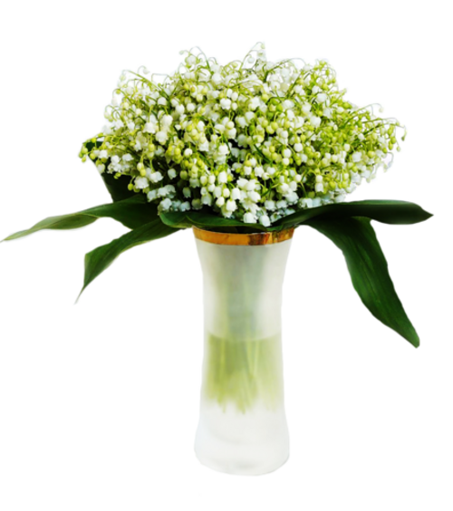 Fleurs Muguet dans vases