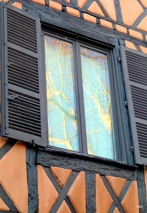 Y01 - Fenêtre ancienne