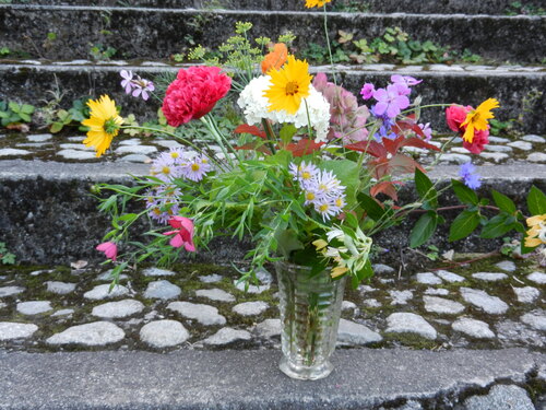 Dernières fleurs