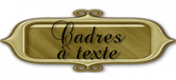 cdare accueil