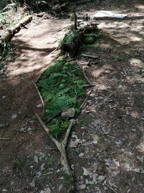 L'inauguration du sentier pédagogique