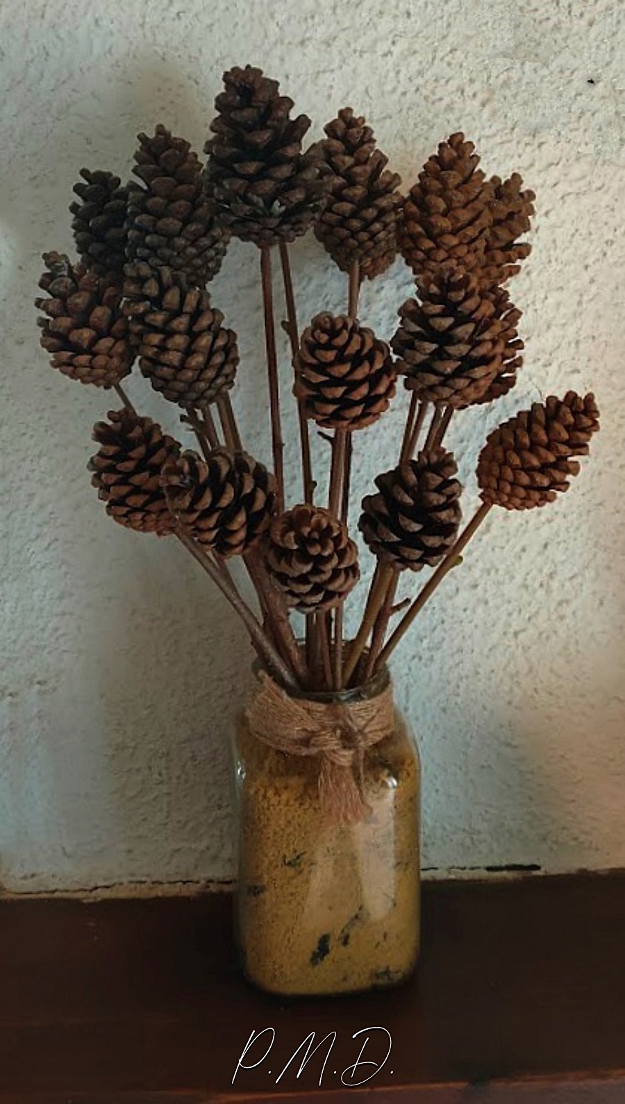 03/01/2024 - Bouquet de petites Pommes de Pin sur branche de Noisetier