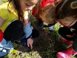 Maternelle classe dehors en mai 