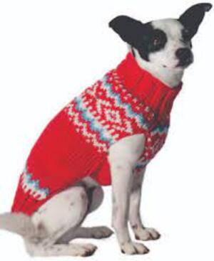 mode fashion dog jaket knititng