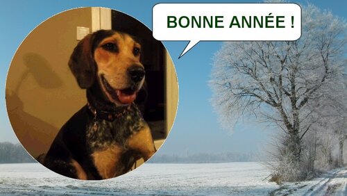 bonne année 2024