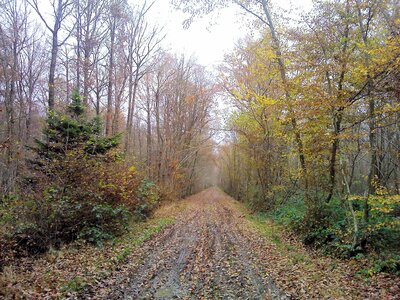 Le chemin du Lesme