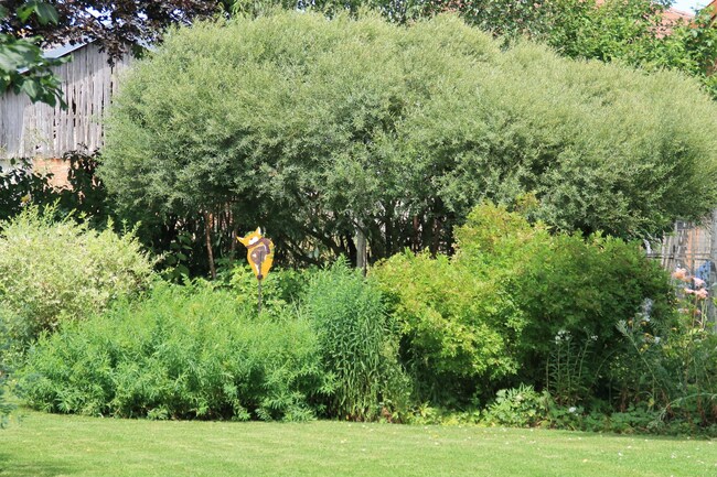 Le jardin pour tous les sens