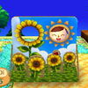 vamosadeplaya acnl