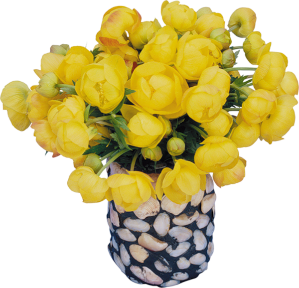 Fleurs dans vase 1