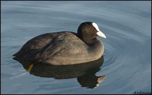 Etang et ru..