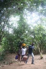 Kpalimé au Togo, la région des plateaux et forêts