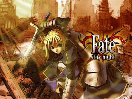 Fate / Stay Night 