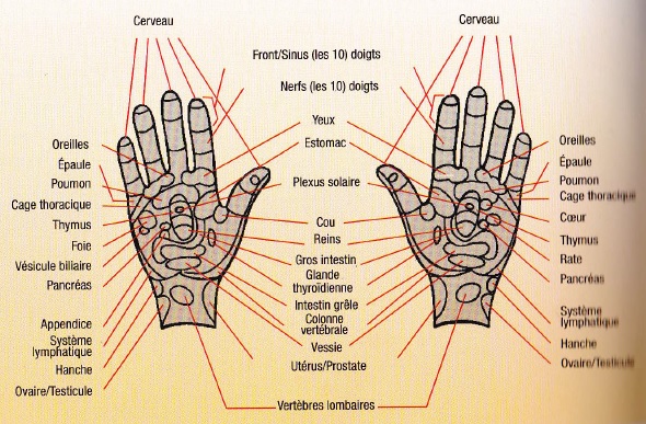 reflexologie, mains