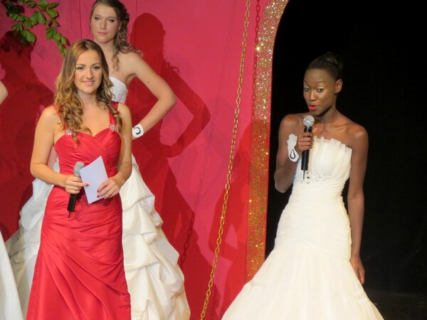 L'élection 2015 de Miss Côte d'Or à Châtillon sur Seine