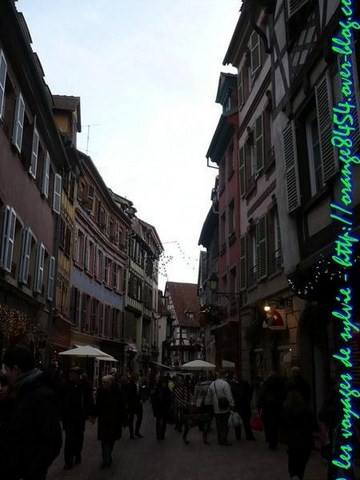 COLMAR 2011 (46)