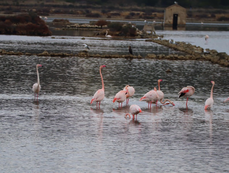 Etang du Doul