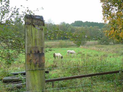 La vallée du Guiel