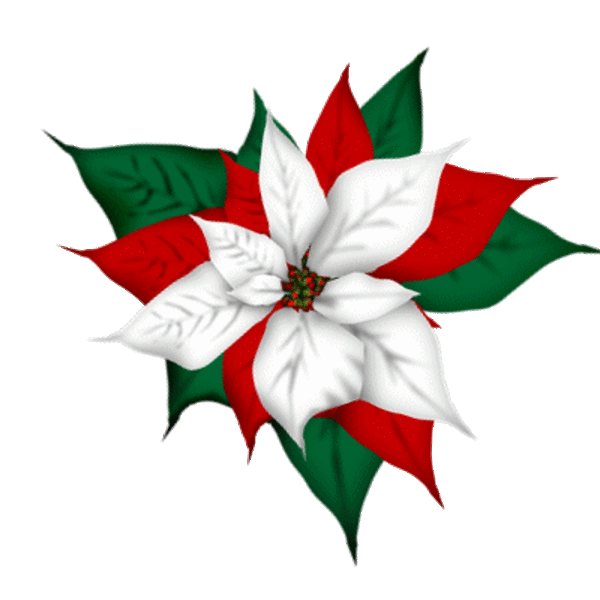 Fleurs De Noël  1( 2019)