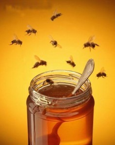 miel-pot-abeilles-copie-1.jpg
