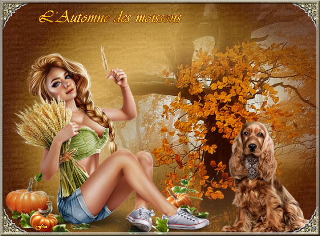 Défi "L'Automne des moissons"