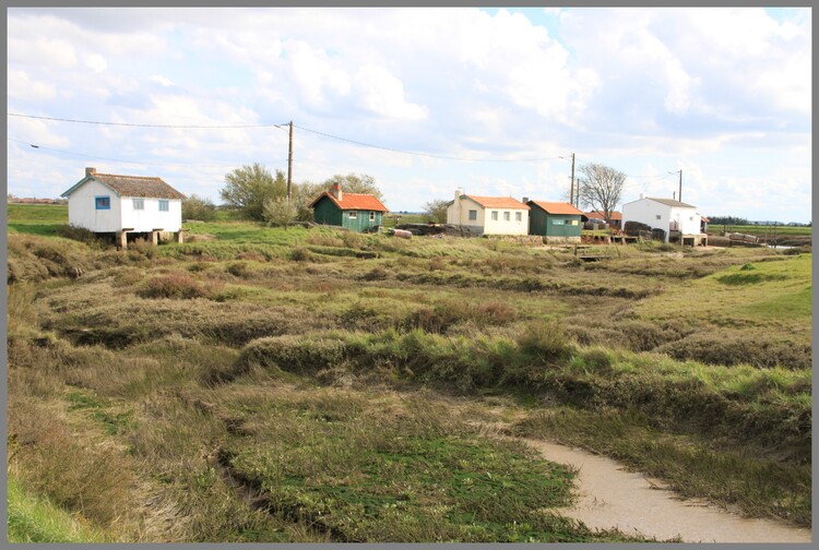 PORT PARADIS     -     NIEULLE SUR SEUDRE (17)