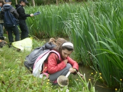 Notre 2ième sortie dans le cadre ENS à l'Etang de Mai sur la commune de Tullins...