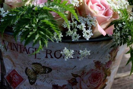 Vintage roses