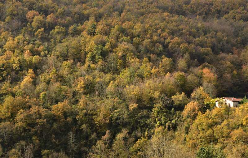 2021.11.01 L'automne à la campagne ! 2