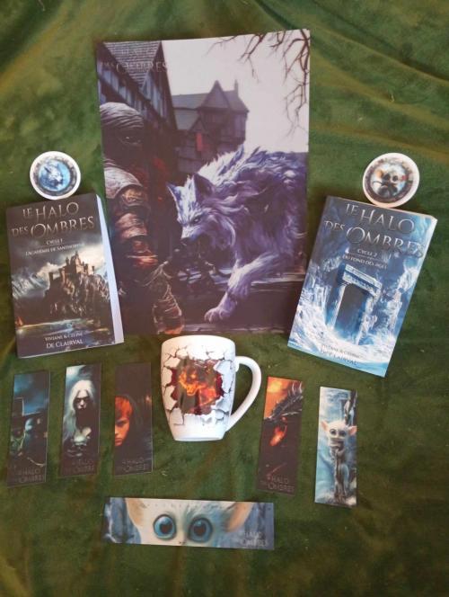 Réception Ulule Novembre 2024