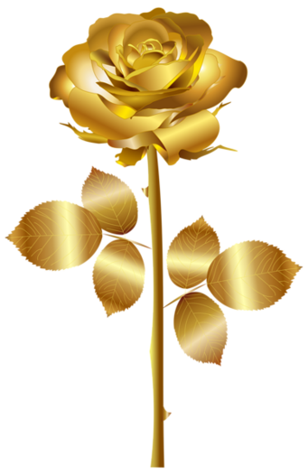 Gold roses