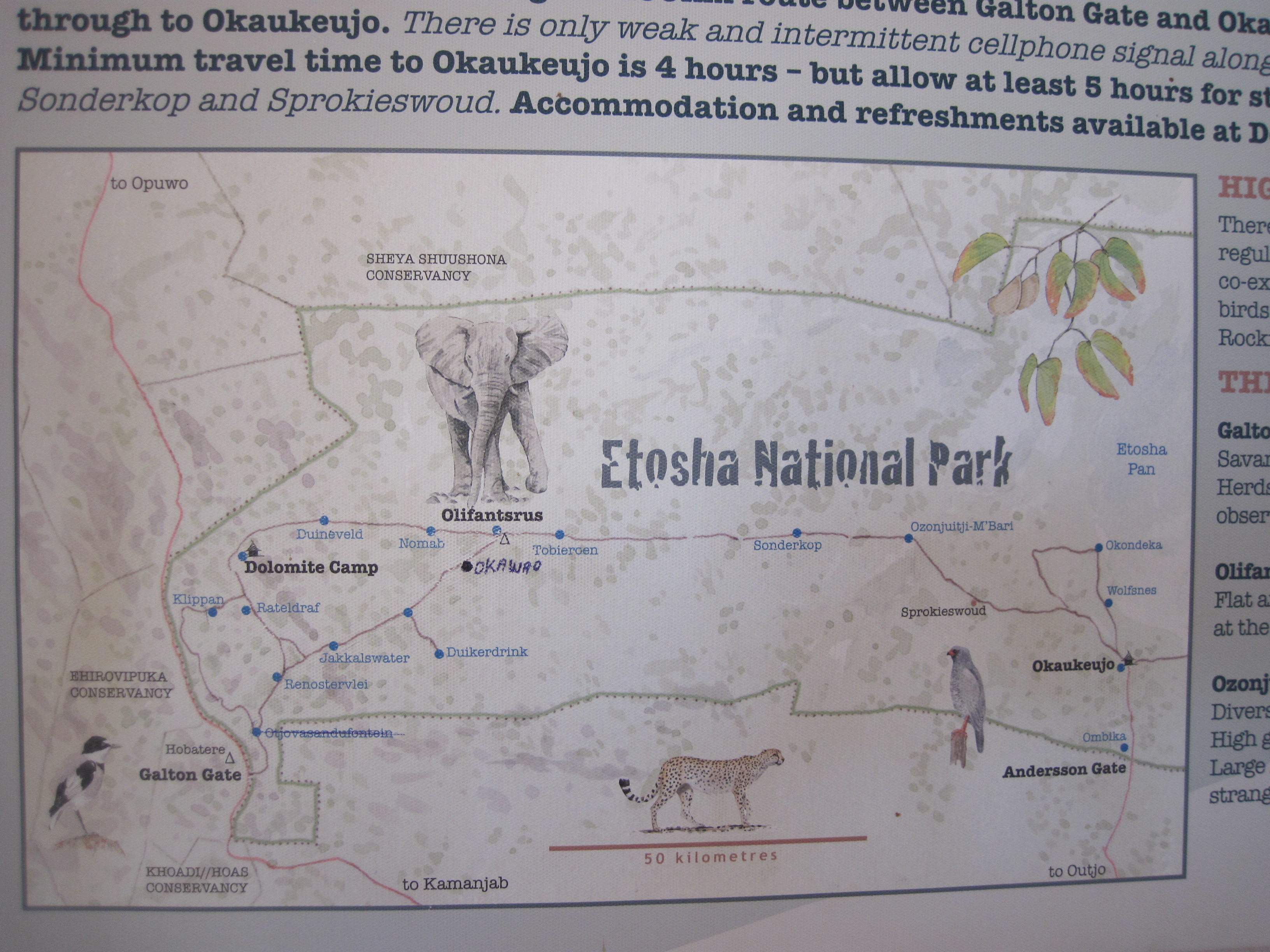 Parc d'Etosha