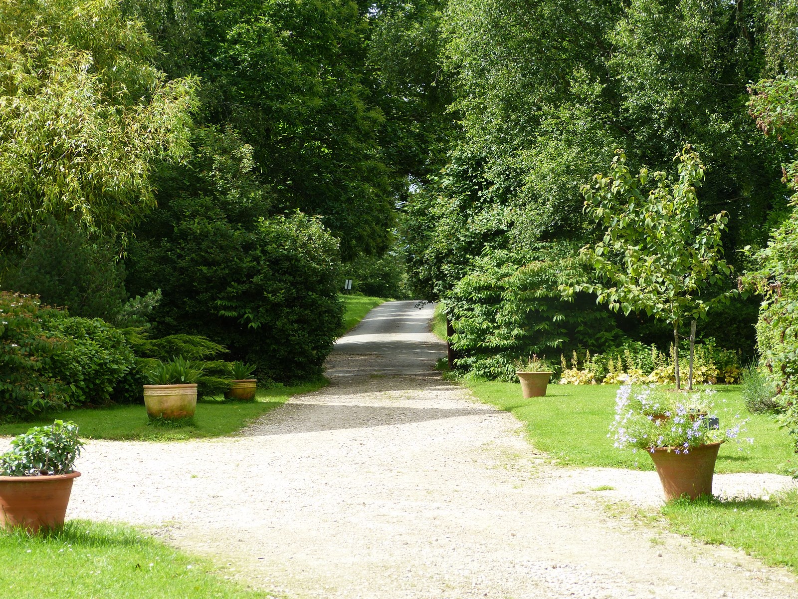 Le jardin de Marie