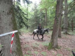 Randonnée de la Pentecôte 2015 : les photos