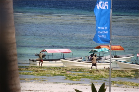 Matemwe, (Muyuni) à Zanzibar. 2023.