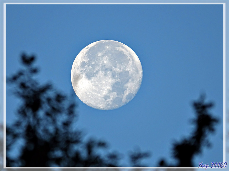 Madame la Lune : en fin de nuit avec irisation d'un nuage puis à son coucher - Lartigau - Milhas - 31