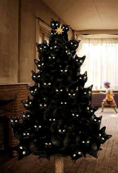 Le nouveau sapin de Noël