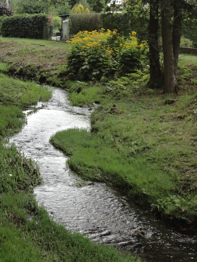 LE PARC DE LA SOURCE FERDINAND