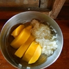 23fev 142 cours de cuisine thaï - dessert (mangues et riz collant)