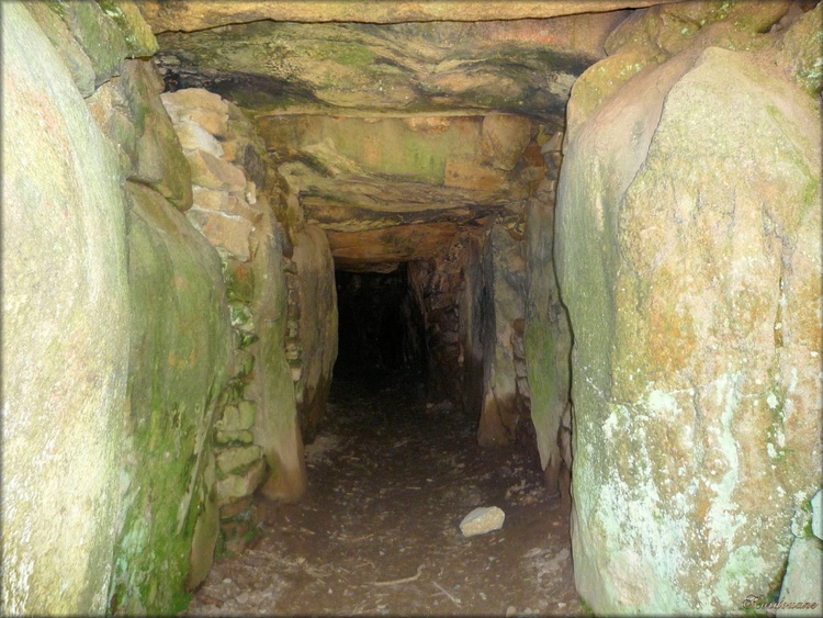 Photo du tumulus de Kernours au Bono (Morbihan)